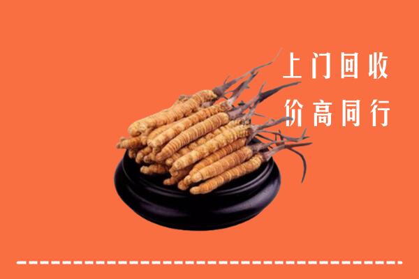 高价求购：通辽奈曼回收散虫草