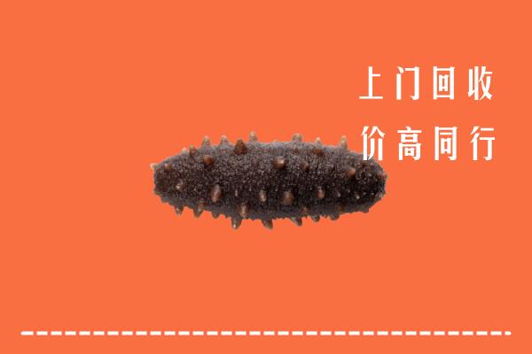 高价求购：通辽奈曼回收海参
